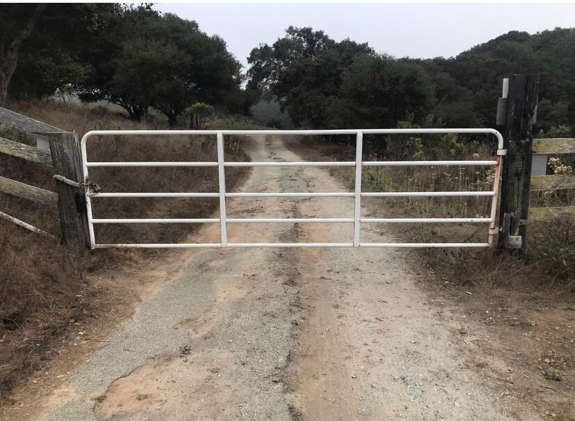 Pruntuckians identify with Tom Joad of Grapes of Wrath